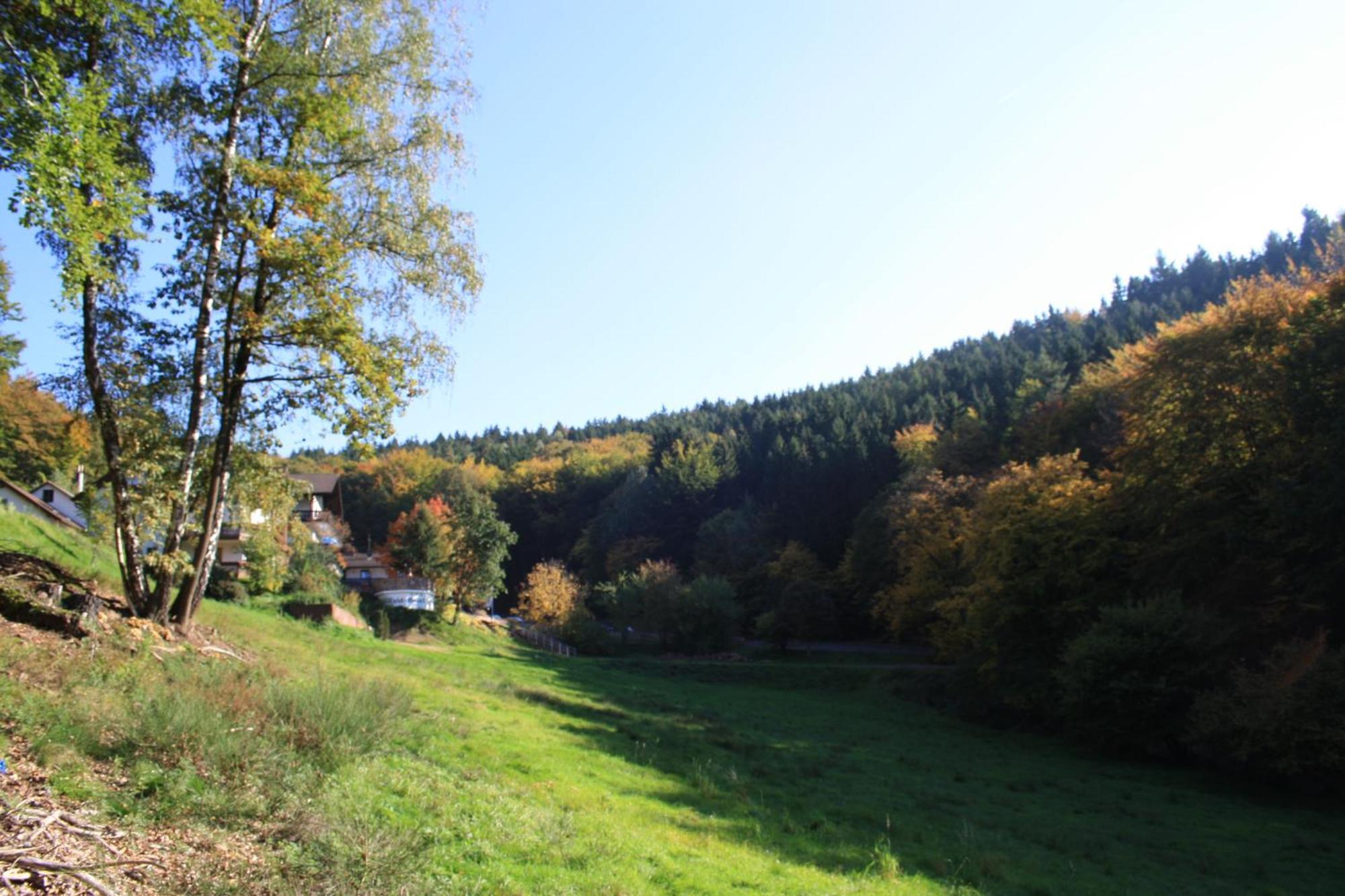 Wald-Hotel Heppe Dammbach Exteriér fotografie