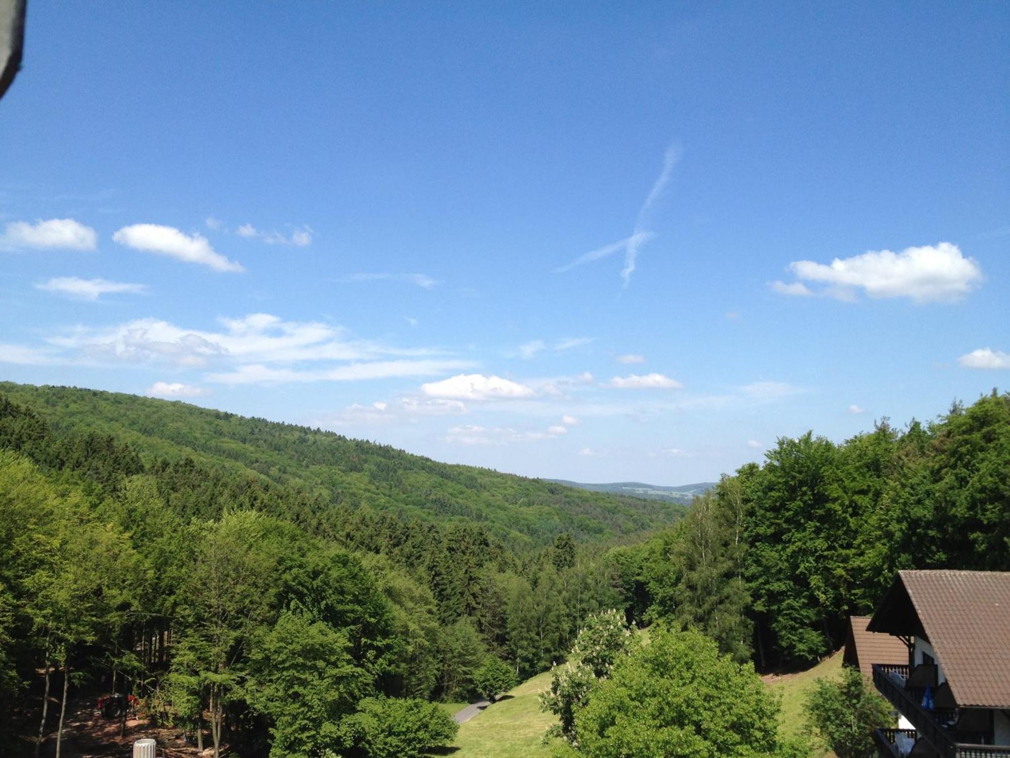 Wald-Hotel Heppe Dammbach Exteriér fotografie