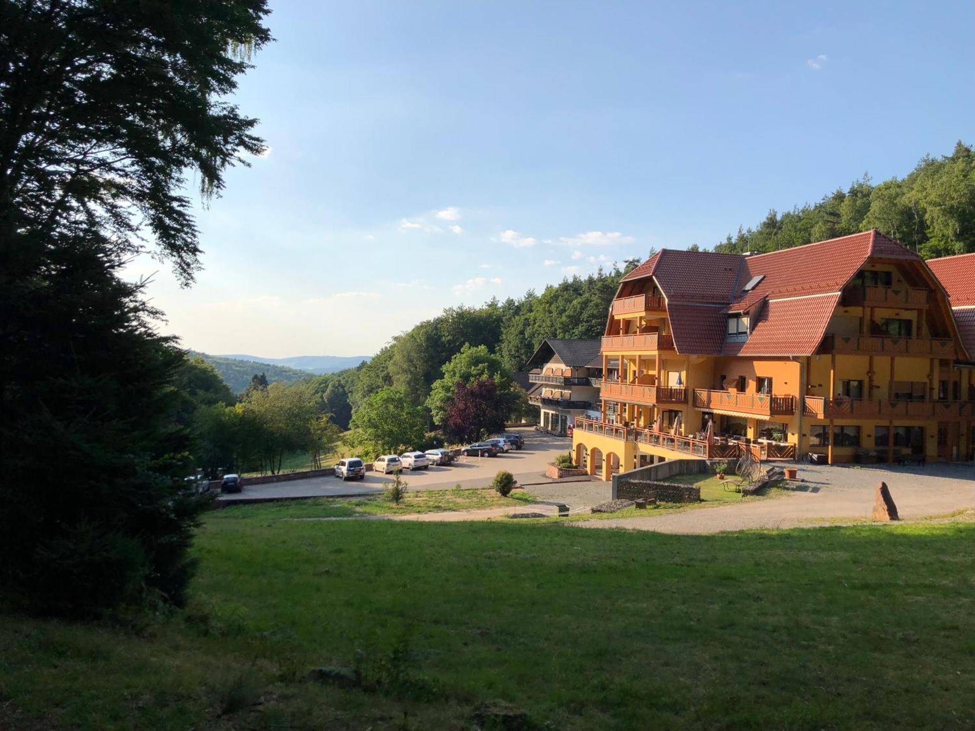 Wald-Hotel Heppe Dammbach Exteriér fotografie