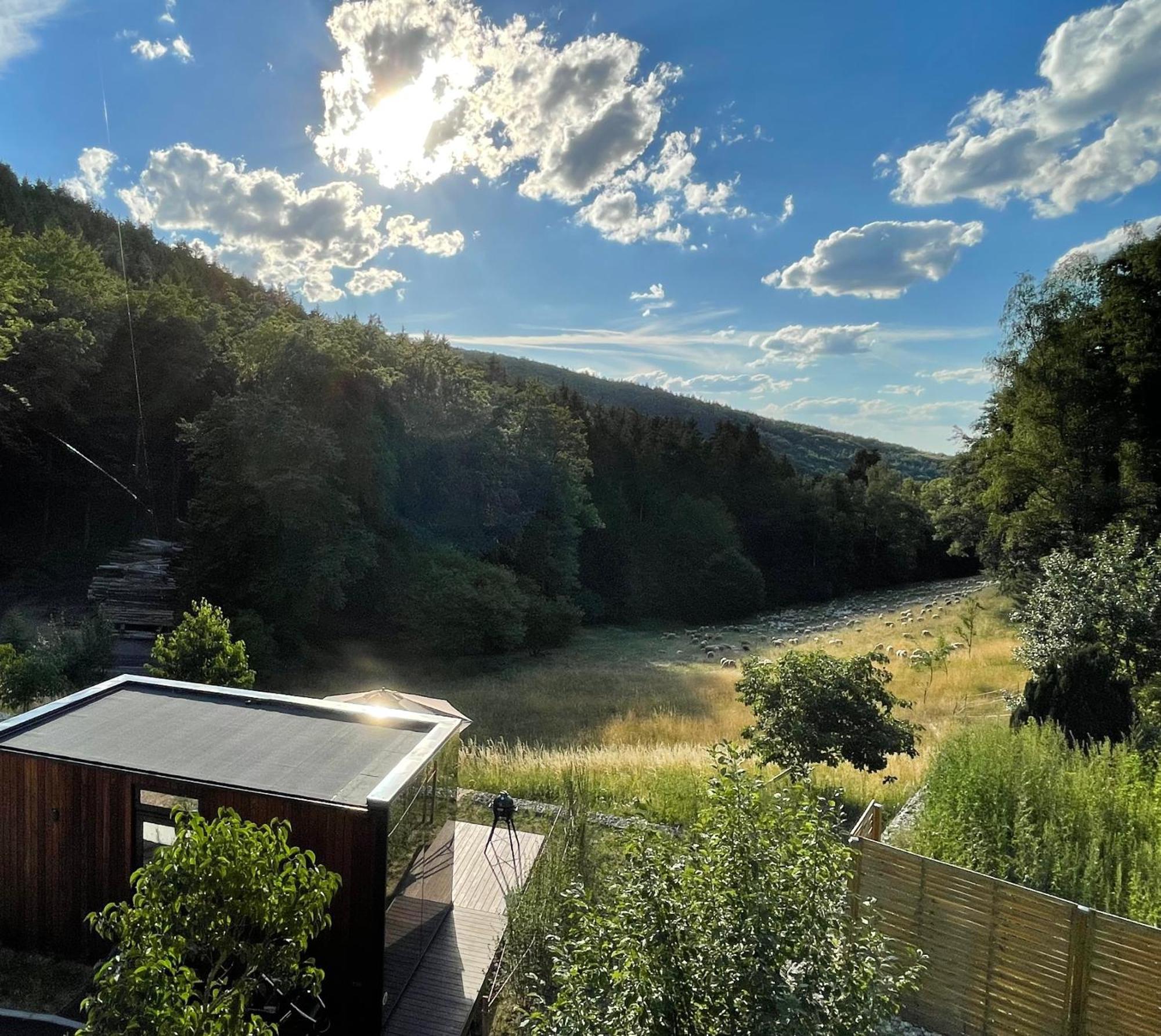 Wald-Hotel Heppe Dammbach Exteriér fotografie