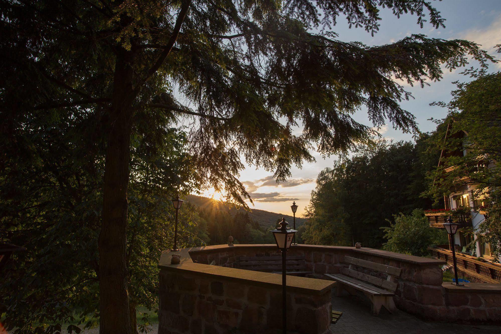 Wald-Hotel Heppe Dammbach Exteriér fotografie